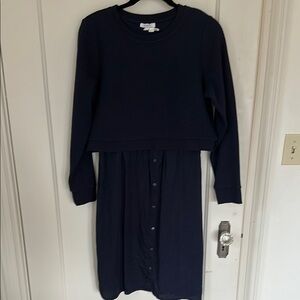Seraphine Navy Maternity/Nursing dress